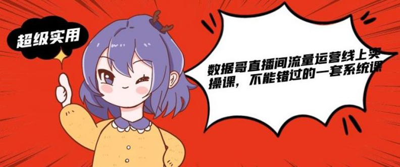 图片[1]-数据哥直播间流量运营线上实操课，不能错过的一套系统课-多课资源站