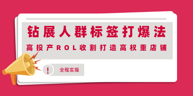 图片[1]-钻展人群标签打爆法，高投产ROL收割打造高权重店铺(全程实操)-多课资源站