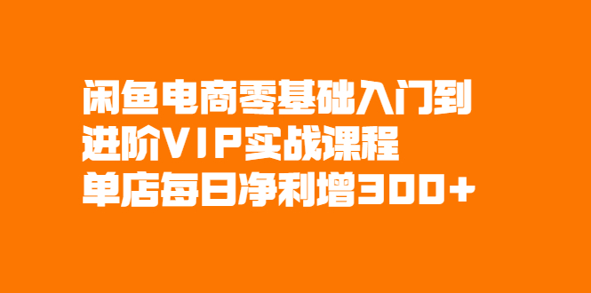 图片[1]-闲鱼电商零基础入门到进阶VIP实战课程，单店每日净利增300+-多课资源站