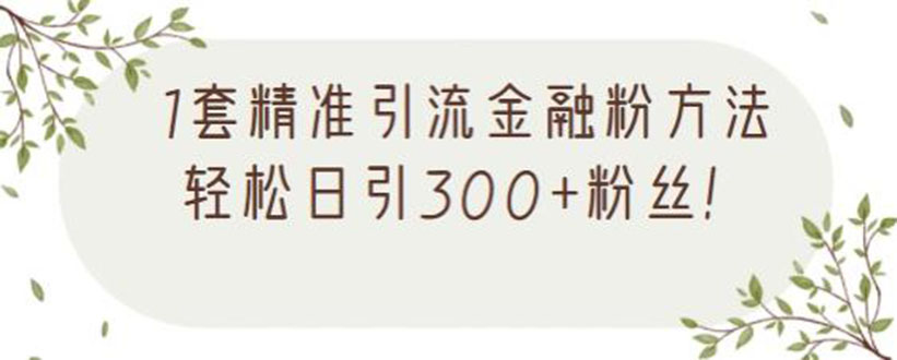 图片[1]-1套精准引流金融粉方法，轻松日引300+粉丝【视频课程】-多课资源站