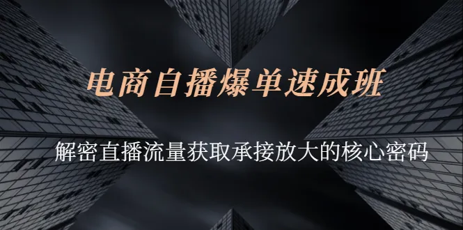 图片[1]-电商自播爆单速成班：解密直播流量获取承接放大的核心密码-臭虾米网