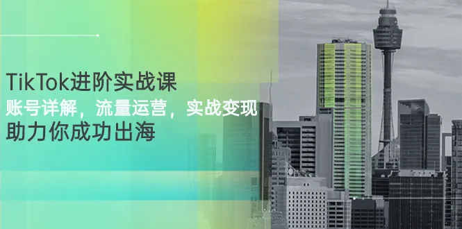 图片[1]-TikTok进阶实战课：账号详解，流量运营，实战变现，助力你成功出海-臭虾米网