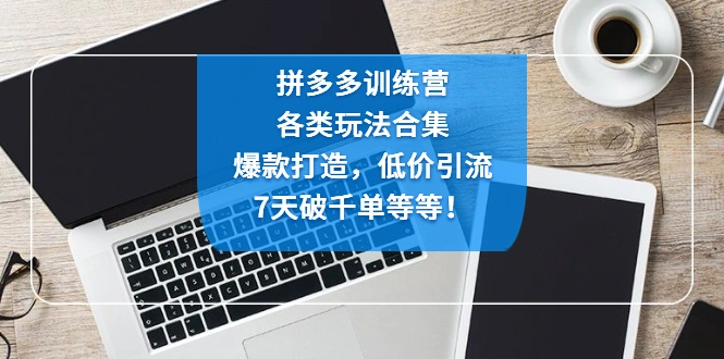 图片[1]-拼多多训练营：各玩法合集，爆款打造，低价引流，7天破千单等等！-臭虾米项目网