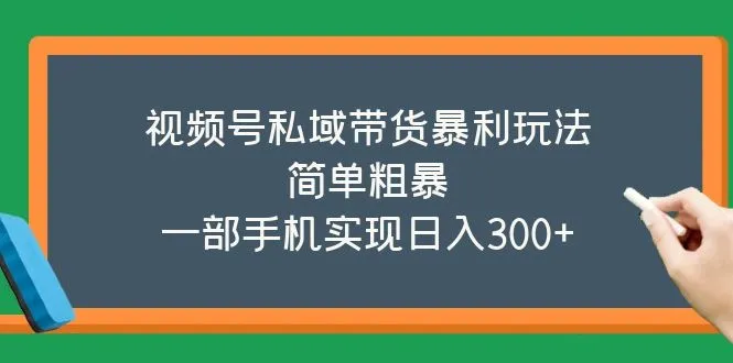 图片[1]-视频号私域带货暴利玩法，简单粗暴，一部手机实现日入300+-臭虾米项目网
