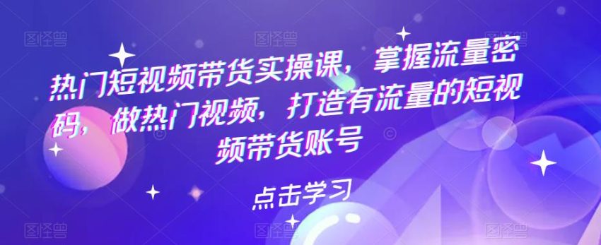 热门短视频带货实战 掌握流量密码 做热门视频 打造有流量的短视频带货账号-多课资源站