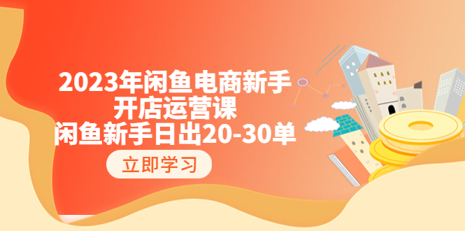 闲鱼电商新手开店运营课：闲鱼新手日出20-30单（18节-实战干货）-多课资源站
