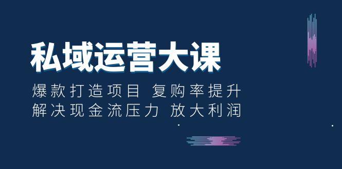 私域运营大课：爆款打造项目 复购率提升 解决现金流压力 放大利润-多课资源站