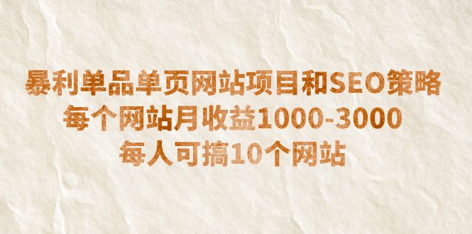 暴利单品单页网站项目和SEO策略 每个网站月收益1000-3000 每人可搞10个-多课资源站