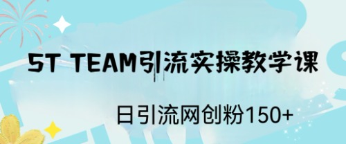 ST TEAM引流实操课，日引流网创粉100+-多课资源站