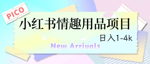 最新小红书情趣用品项目,日入1-4k-多课资源站