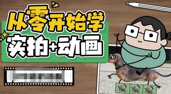 从零开始学实拍加动画，实拍加动画创意教程（49节视频课）-多课资源站