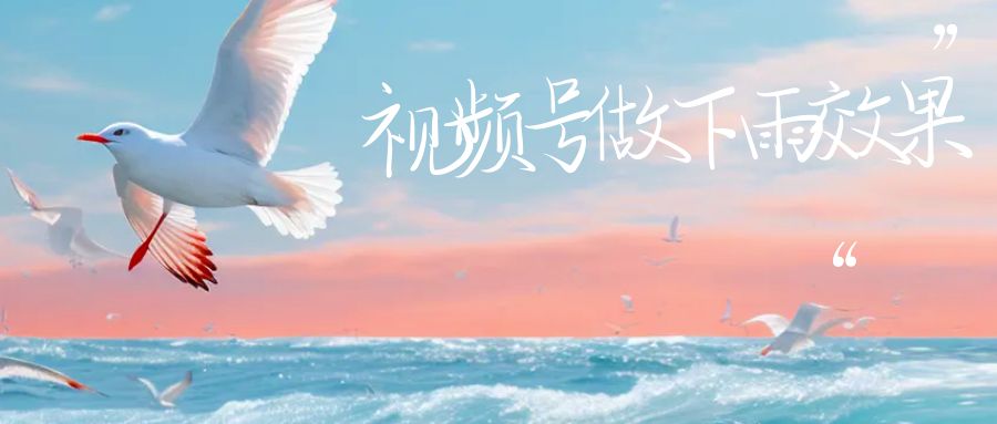 视频号做下雨视频,一个账号一周涨粉10W+,日入1000+,附保姆级教程-多课资源站