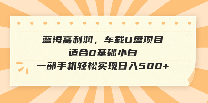 蓝海高利润，车载U盘项目，适合0基础小白，一部手机轻松实现日入500+-多课资源站