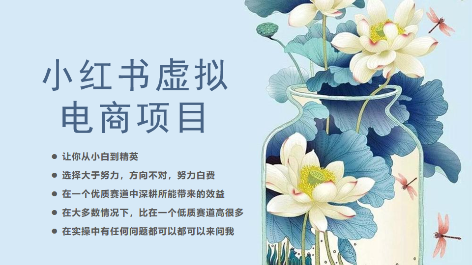 小红书虚拟电商从0到1，让你从小白到精英（20节实操课程）-多课资源站