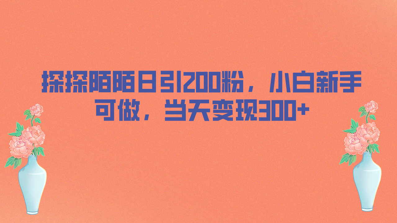 探探陌陌日引200粉，小白新手可做，当天就能变现300+-多课资源站