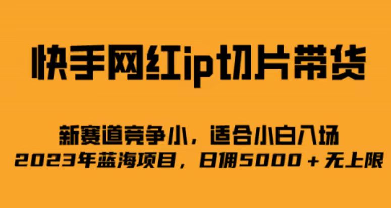 快手网红ip切片新赛道，竞争小事，适合小白 2023蓝海项目-多课资源站