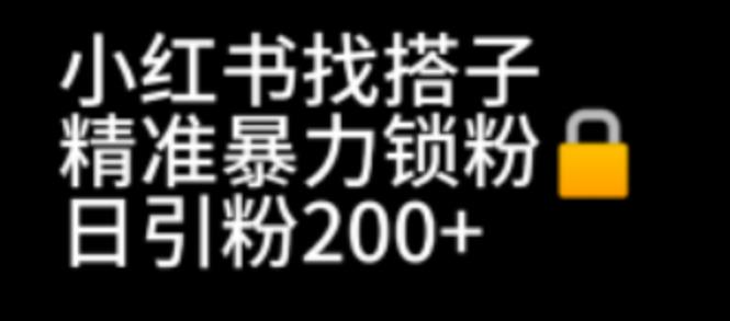 小红书找搭子暴力精准锁粉+引流日引200+精准粉-多课资源站