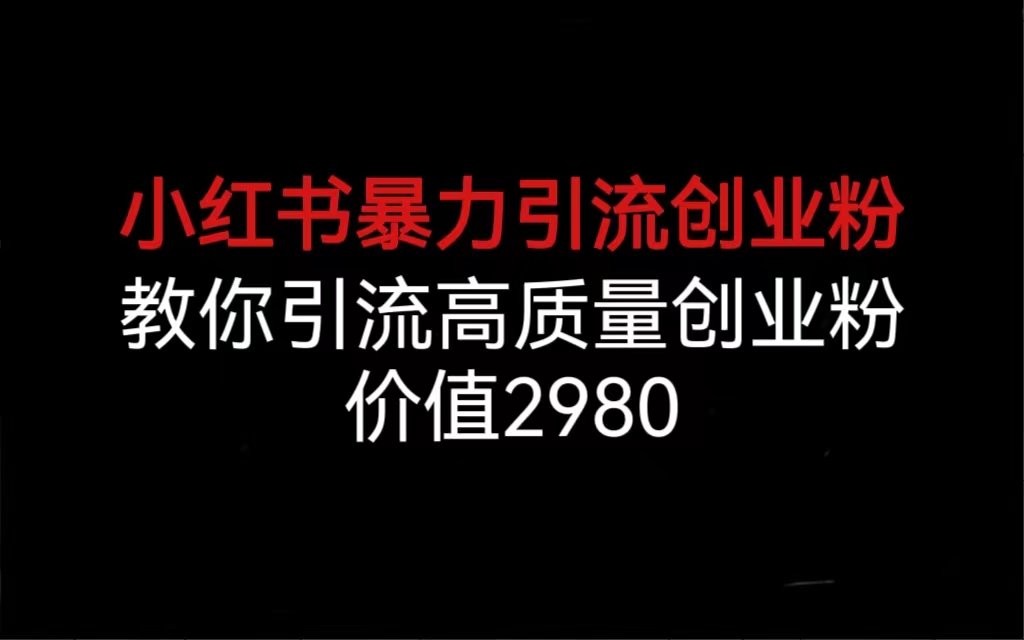 小红书暴力引流创业粉，教你引流高质量创业粉，价值2980-多课资源站
