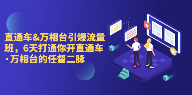 直通车+万相台引爆流量班，6天打通你开直通车·万相台的任督 二脉-多课资源站