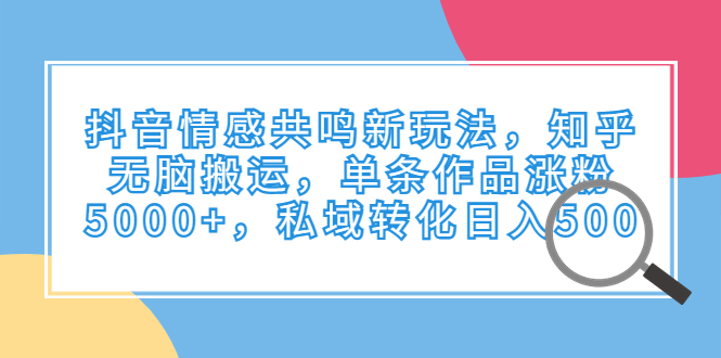 抖音情感共鸣新玩法，知乎无脑搬运，单条作品涨粉5000+，私域转化日入500-多课资源站